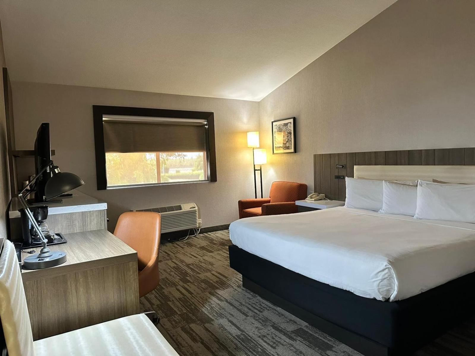 La Casa Modesto, Ascend Hotel Collection Zewnętrze zdjęcie