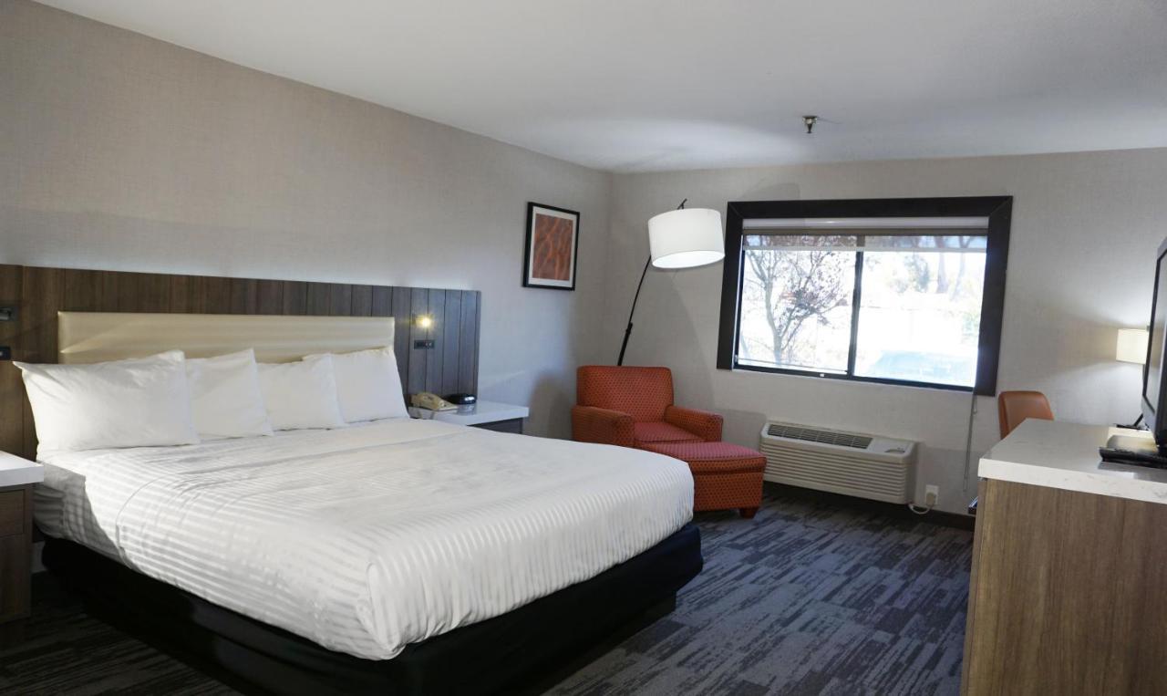 La Casa Modesto, Ascend Hotel Collection Zewnętrze zdjęcie